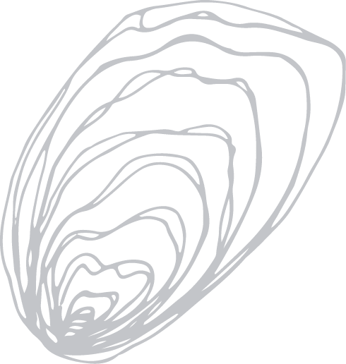 Oyster shell graphic
