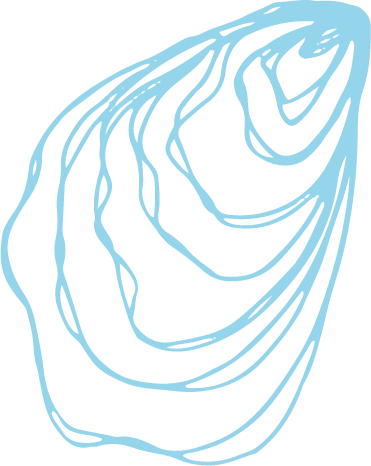 Oyster shell light blue